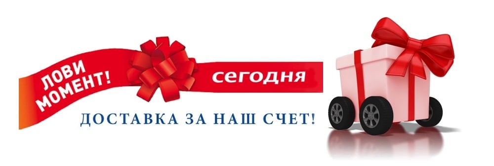 Подарок. Лови момент! Сегодня доставка за наш счет — бесплатно!